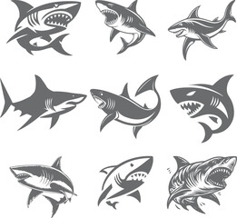 angry shark vector