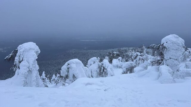 View of the white rocks and the winter forest on Mount Polyud. Lappish spruces on Mount Polyud in the Perm region in winter. In winter, there is a lot of snow and frost on the trees in the Urals. 4К