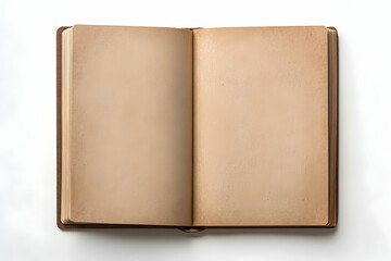 Fototapeta premium Open blank antique book pages