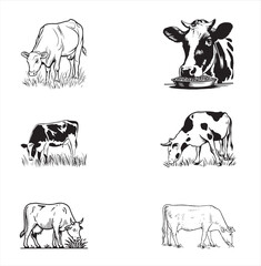 Group cow vector design