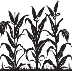 Silhouette of corn plant growing with leaves of vegetable harvest vector on white background