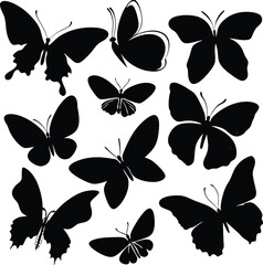 Collection of Ten Black Butterfly Silhouettes on White