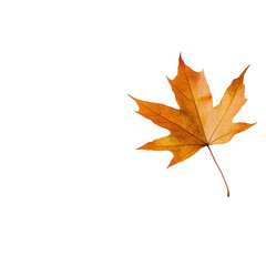 Fototapeta premium A vibrant autumn leaf showcasing warm colors of red, orange, and yellow hues.