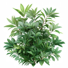 Lush green foliage showcasing vibrant leaves in a beautiful arrangement.