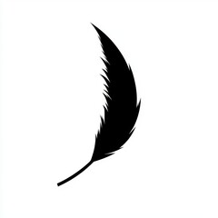 Silhouette of a single black feather with detailed barbs on a white background