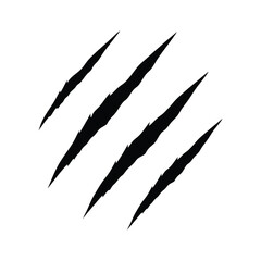 This image showcases three distinct claw marks against a plain white backdrop. © ASADULHAQUE