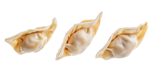 Fototapeta premium Three cooked dumplings, isolated on a transparent background