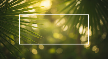 Palm leaf fronds with sunlight shining through creating bokeh light effect with white rectangular frame. Summer banner for tropical resorts, spa retreats and nature-inspired wellness promotions