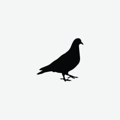 Minimalist Black Pigeon Silhouette on White Background – Clean Walking Pose Vector for Elegant Designs