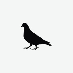Minimalist Black Pigeon Silhouette on White Background – Clean Walking Pose Vector for Elegant Designs