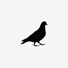 Minimalist Black Pigeon Silhouette on White Background – Clean Walking Pose Vector for Elegant Designs