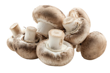 Fresh organic button mushrooms piled on plain background, cut out