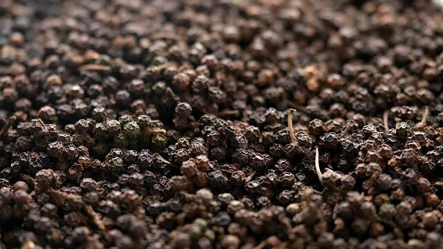 Organic black pepper kept on rotating disk. Macro video of black pepper.