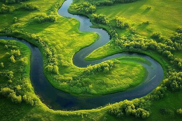 Aerial view of a winding river flowing through lush green marshland and dense vegetation under soft sunlight