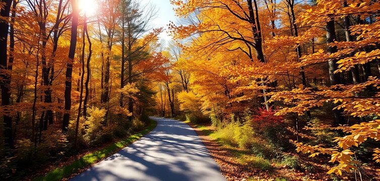 Sun-dappled autumn road winds through vibrant forest, golden leaves ablaze, autumnal, fall - Powered by Adobe