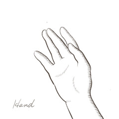 hand 2