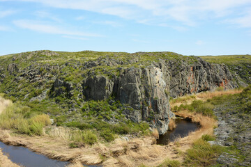 Mountains, hills, grass and trees in summer in clear sunny weather. A small river flows among the mountains
