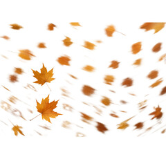 autumn leaves frame isolated on transparent or white background png
