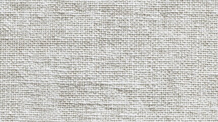 White Seamless Canvas Texture with Natural Weaves for Background Use