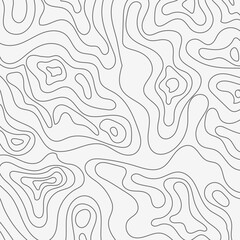 Obraz premium Abstract Topographic Lines Gray Scale Wave Pattern Design