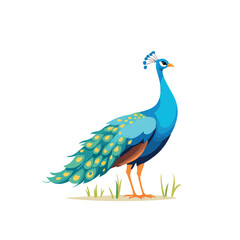 Vsai beautiful peacock showing its colorful feathers is standing in the grass