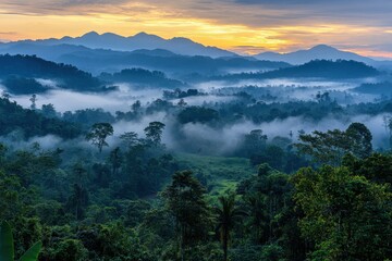 Misty mountains and a green forest landscape are seen at dawn. Ideal for tourism ads, nature blogs, or travel magazine articles.