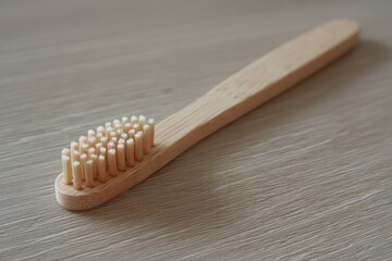 Simple Wooden Bristle Brush Close-Up Image