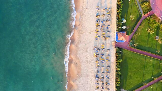 A sandy beach lined with blue chairs and umbrellas.
