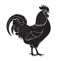 Rooster isolated on white background, a vibrant farm bird illustration with feathers and a prominent beak