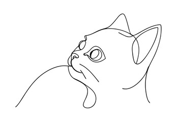 Continuous one line drawing cute kitten profile