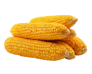 Fresh corn cobs stacked in organic arrangement, showcasing their vibrant yellow color and natural texture. Perfect for culinary uses or decorative purposes, these cobs evoke sense of harvest joy