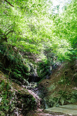 苔むした岩と新緑の崖から落ちる美しい小さな滝
新緑が美しい渓谷。
神奈川県清川村、早戸川林道-2025年
