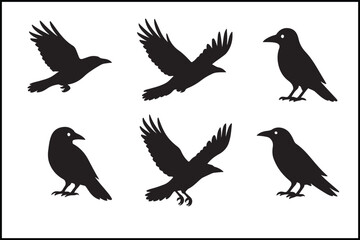 Obraz premium Raven Silhouette Flat Vector Art