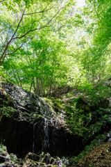 苔むした岩と新緑の崖から落ちる美しい小さな滝
新緑が美しい渓谷。
神奈川県清川村、早戸川林道-2025年
