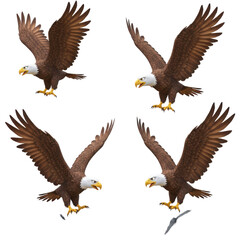 Obraz premium Set of 4 Cartoon Bald Eagles with Transparent Background in Flight