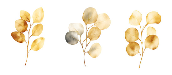 Watercolor golden eucalyptus leaves illustration isolated on transparent background