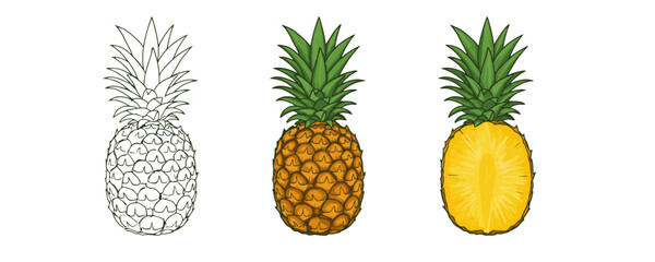 Three distinct cartoon pineapple illustrations: outline, full color fruit, and a detailed half-cut view with yellow flesh