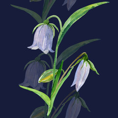 Watercolor bells. Pattern seamless . Image on white and color background.