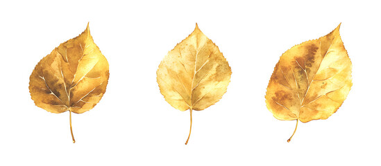 Fototapeta premium Watercolor golden autumn leaves illustration isolated on transparent background