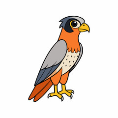 Falcon Bird Perched Vector Style On White