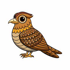 Nightjar Bird Perched On White