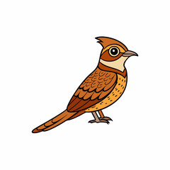 Nightjar Bird Perched Vector Style On White