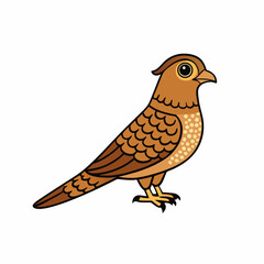 Nightjar Bird Perched On White