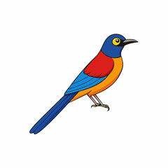 Sunbird Perched On White