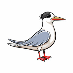 Tern Bird Perched Vector Style On White