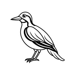 bird vector