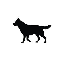 Cute Pomeranian Silhouette