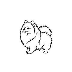 Cute Pomeranian Silhouette