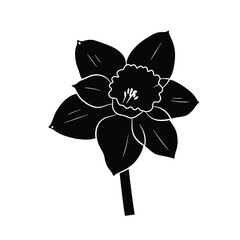 Black and White Silhouette of a Daffodil Flower