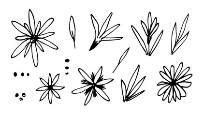 Set of different flowers, twigs and leaves, floral elements. Hand drawn vector illustration with black outline. Nature and plants.
